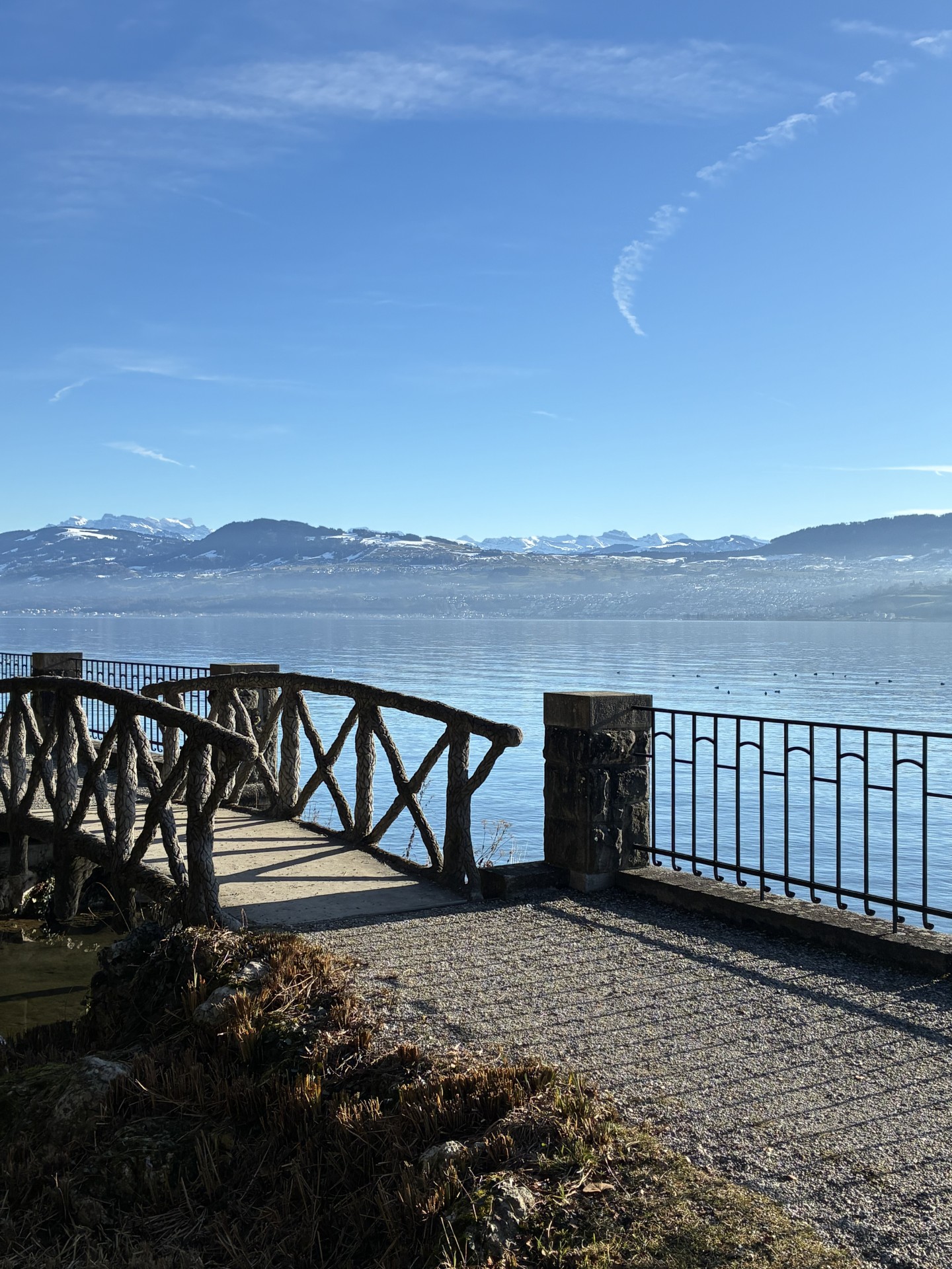 Blick auf den Zürichsee